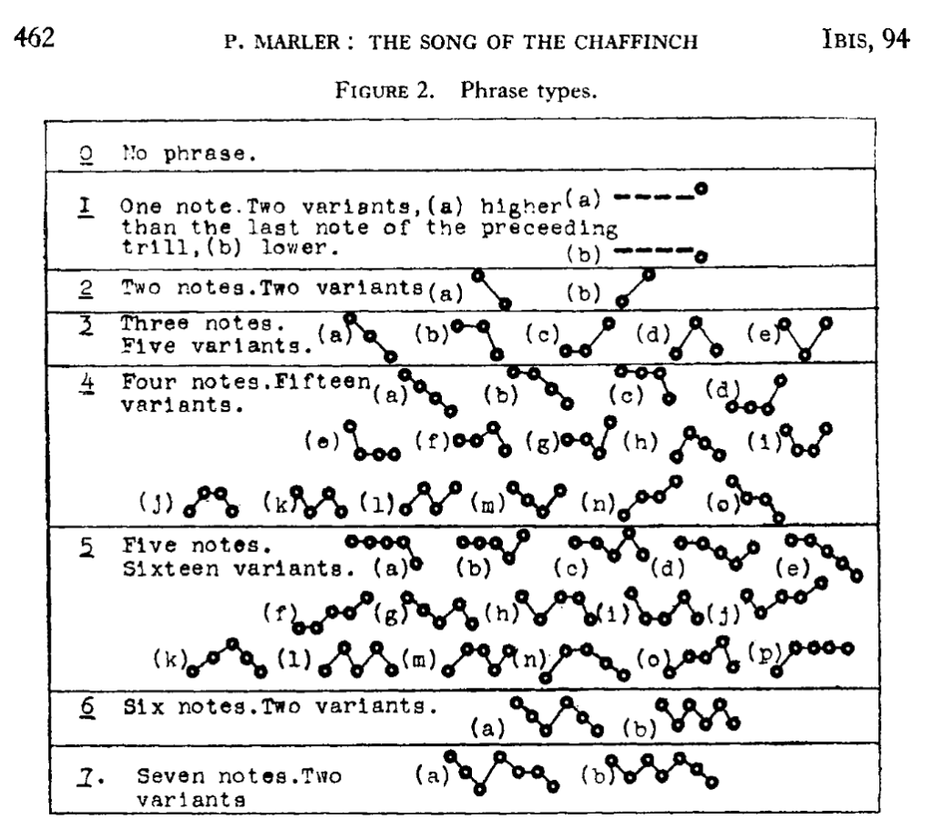 Figure 2 from Marler (1952) showing chaffinch phrase types using note-pattern diagrams