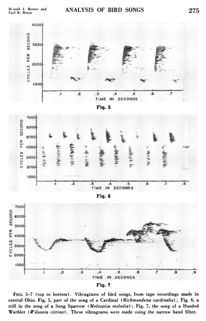 Spectrograms of the songs from a Cardinal, a Song Sparrow, and a Hooded Warbler, from Borror and Reese (1953).